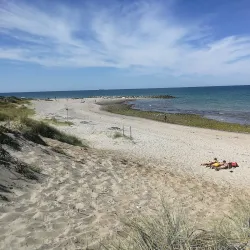 Liseleje Harbor - Gribskov