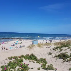 Liseleje Harbor - Gribskov