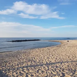 Liseleje Harbor - Gribskov