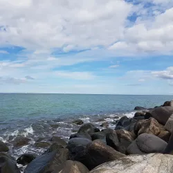 Liseleje Harbor - Gribskov