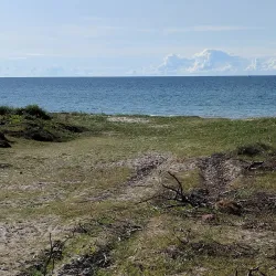 Tisvilde Hegn - Gribskov