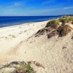 Tisvilde Hegn - Gribskov