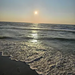 Tisvilde Hegn - Gribskov