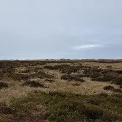 Tisvilde Hegn - Gribskov