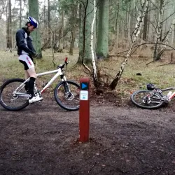 Tisvilde Hegn - Gribskov