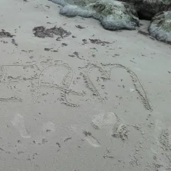 Vejby Beach - Gribskov