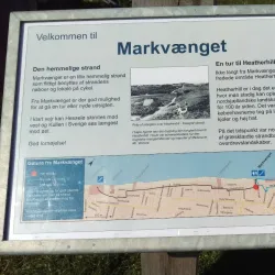 Vejby Beach - Gribskov