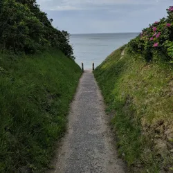 Vejby Beach - Gribskov