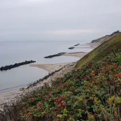 Vejby Beach - Gribskov