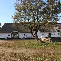 Grindsted Museum - Grindsted