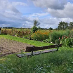 Grindsted Museum - Grindsted