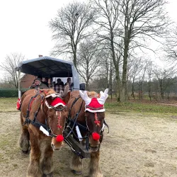 Grindsted Museum - Grindsted