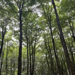 Grindsted Nature Reserve - Grindsted