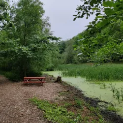 Grindsted Nature Reserve - Grindsted