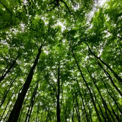 Grindsted Nature Reserve - Grindsted