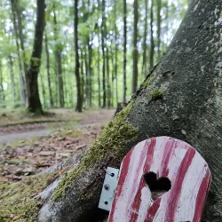 Grindsted Nature Reserve - Grindsted