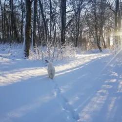 Grindsted Nature Reserve - Grindsted