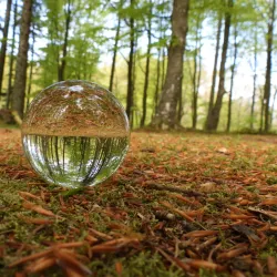 Grindsted Nature Reserve - Grindsted