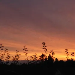 Grindsted Park - Grindsted