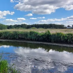 Varde River Trail - Grindsted