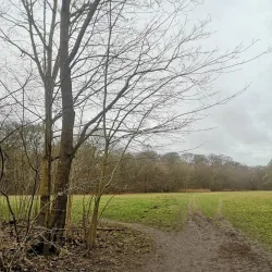 Charlottenlund Forest (Charlottenlund Skov) - Hellerup