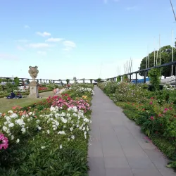 Hellerup Marina - Hellerup