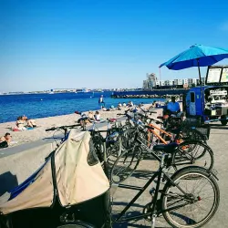 Strandparken Beach - Hellerup
