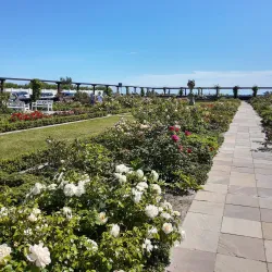 Strandparken Beach - Hellerup