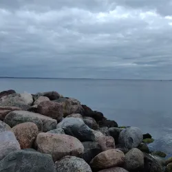 Vedbæk Marina - Hellerup