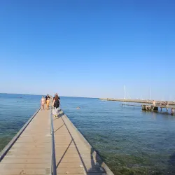 Vedbæk Marina - Hellerup