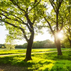 Herning Golf Club - Herning