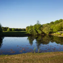 Herning Golf Club - Herning