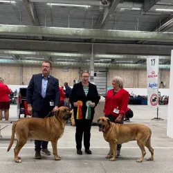 MCH Messecenter Herning - Herning