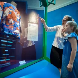 Textile Museum of Denmark (Tekstilindustrimuseet) - Herning