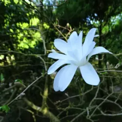 Hjørring City Park (Byparken) - Hjorring