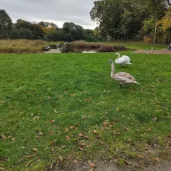 Hjørring City Park (Byparken) - Hjorring