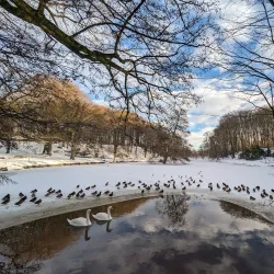 Hjørring City Park (Byparken) - Hjorring