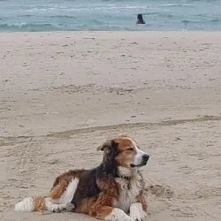 Tornby Beach - Hjorring