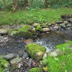 Vildmosemuseet - Hjorring