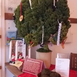 Vildmosemuseet - Hjorring