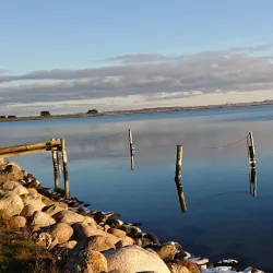Holbæk Harbour - Holbæk (Holbaek)