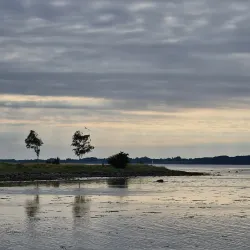Holbæk Harbour - Holbæk (Holbaek)