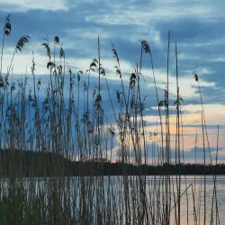 Tuse Næs - Holbæk (Holbaek)