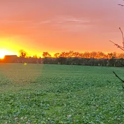 Tuse Næs - Holbæk (Holbaek)