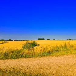 Tuse Næs - Holbæk (Holbaek)