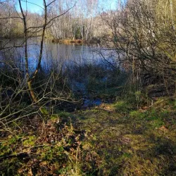 Tuse Næs - Holbæk (Holbaek)