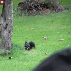 Tuse Næs - Holbæk (Holbaek)