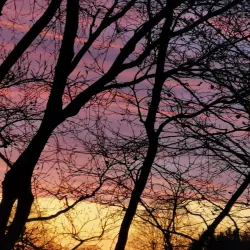 Tuse Næs - Holbæk (Holbaek)