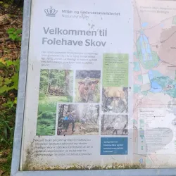 Folehaven Forest - Hørsholm
