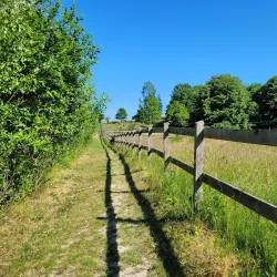 Folehaven Forest - Hørsholm